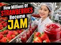How Millions Of Strawberries Become Jam