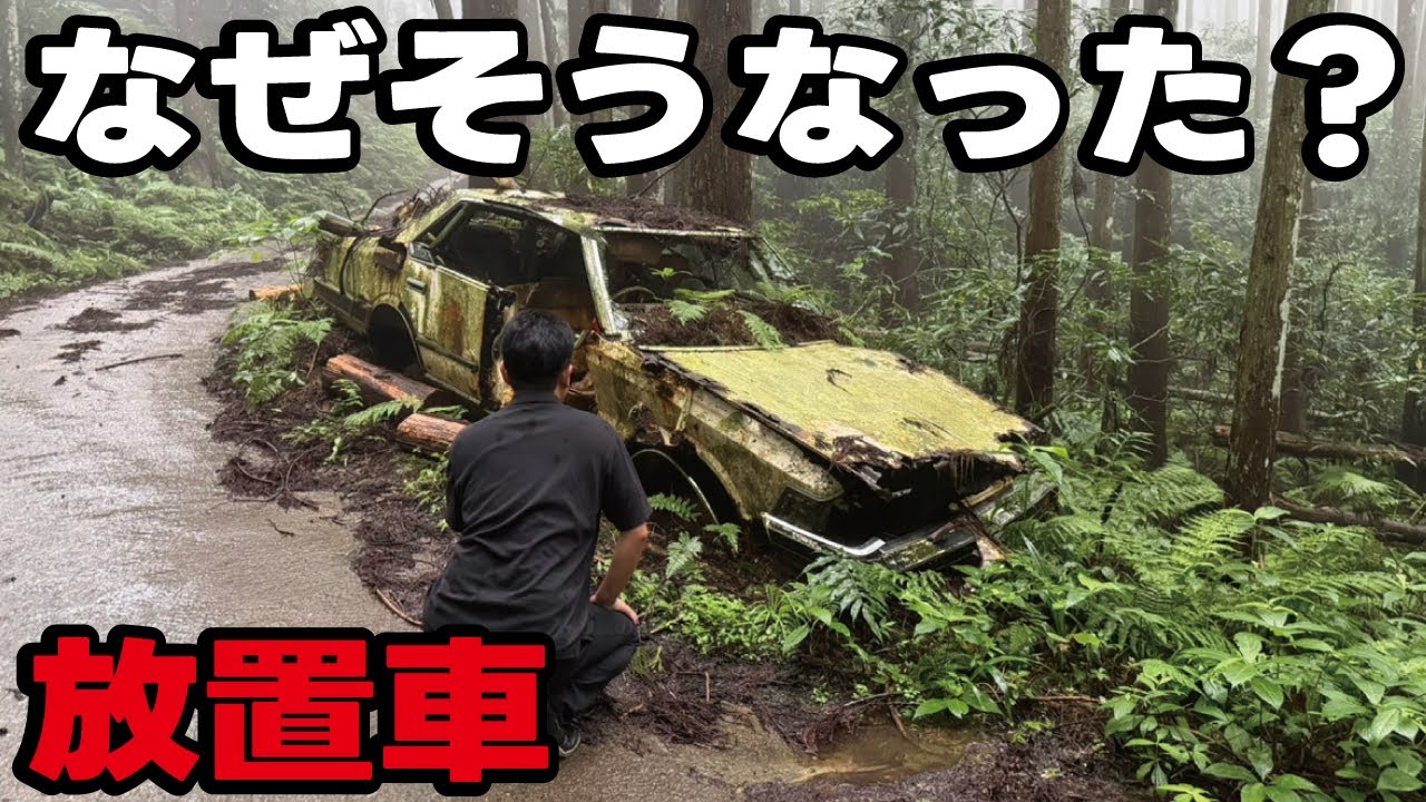 【なぜそこに】電波の届かない山奥に日産の名車の放置車両が！GoogleMapにも載ってない道沿いで草ヒロ化していました。