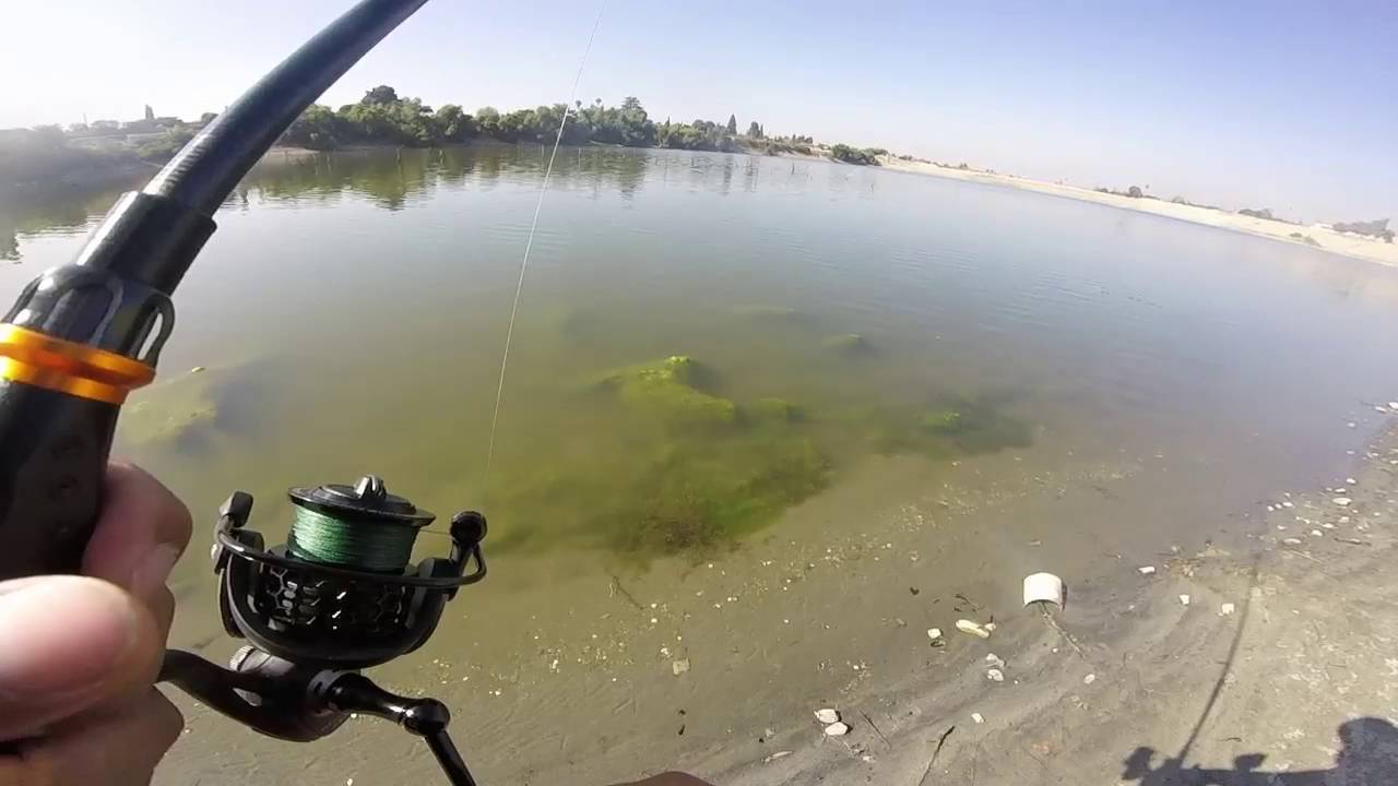 From Peck Road Park to Legg Lake. Keep getting skunked! YouTube