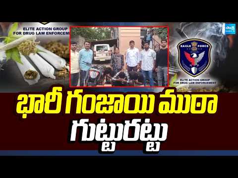 భారీ గంజాయి ముఠా గుట్టురట్టు | Eagle Force Sting Operation | Hyderabad | Sakshi TV - SAKSHITV