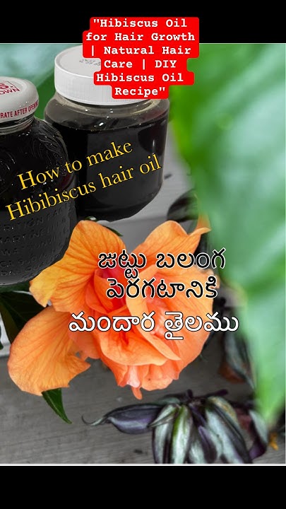 hibiscus-oil-for-hair-growth-natural-hair-care-diy-hibiscus-oil