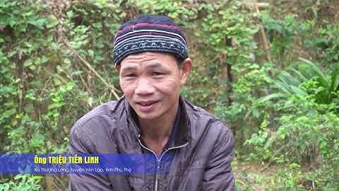 Tết Nhảy của người Dao quần Chẹt huyện Yên Lập