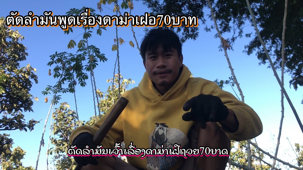 #ຕັດລຳມັນເວົ້າເລື່ອງດາມ່າເຝີຖ້ວຍ70ບາດ