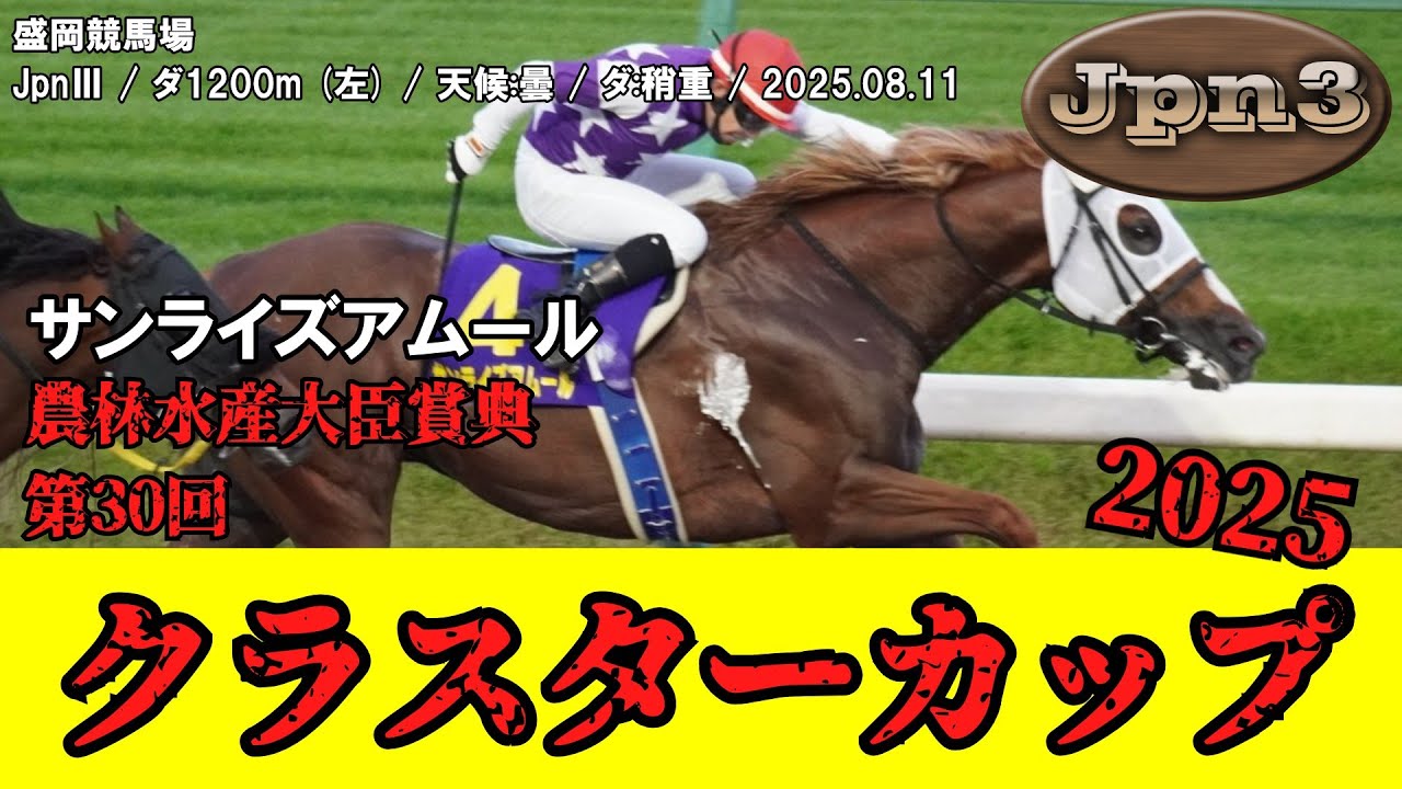 競馬】 クラスターカップ盛岡 （盛岡） 2025 / サンライズアムール 
