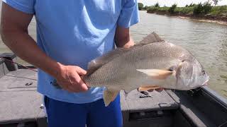 Wilson Lake, Glen Elder Lake: Walleye, Huge Drum, and KDWP on Water Stop