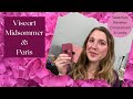 VISEART MIDSOMMER PETIT PRO & PARIS EDIT: Swatches, Comparison, Review, and 4 Looks!