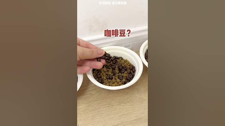 【牛奶是只猫】一周竟然拉了那么多...结尾显眼包竟然...太笨了哈哈哈