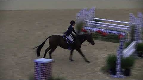 Video of NEXT CHAPTER ridden by VANESSA KING from ShowNet!