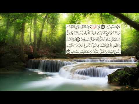 صفحة 53 Page سعد الغامدي سورة ال عمران Al Imran 