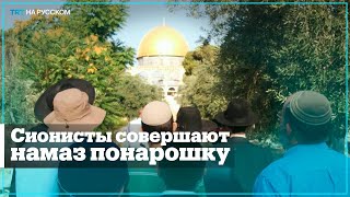 Сионисты притворяются мусульманами для входа в Аль-Аксу