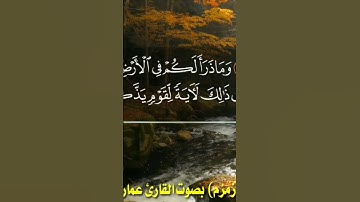 مقام الصبا (زمزم) المعروف بالصوت النجفي بصوت القارئ عمار العبيدي ماتيسر من سورت النحل