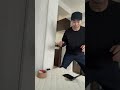 アホな泥棒