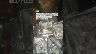 SW STATUS WHATSAPP STORY WA SHORT VIDEO 140