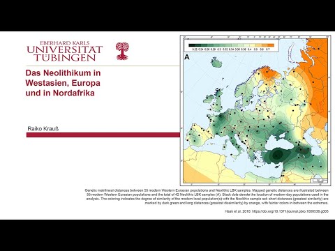 Video: Polnische Muscheln, österreichische Husaren und türkische Fünfer