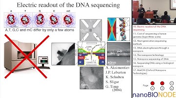 NanoBIO Interfaces (Aleksi Aksimentiev)