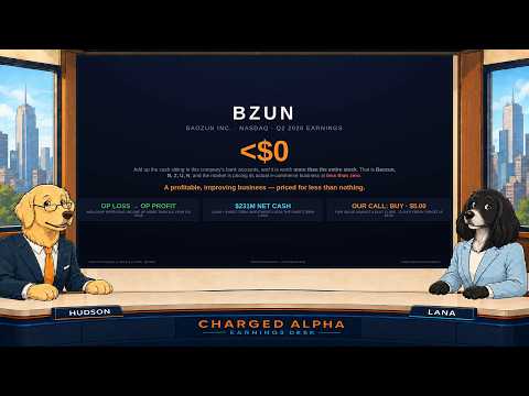 BZUN Stock: Baozun: The Market Prices Its Business at Less Than Zero — Animated Studio Edition