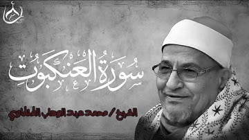 تلاوه عطره بصوت القارئ / محمد عبد الوهاب الطنطاوي