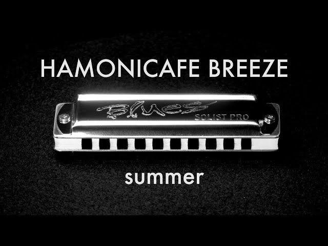 【中古】 西村ヒロ・ブルース・ハーモニカ・メソード タング・ブロッキング奏法を含む吹き方からアドリブま 改訂第３版/竜吟社/西村ヒロ 西村ヒロ/ブルースハープスタンダードメソード ≪奏法の基本から