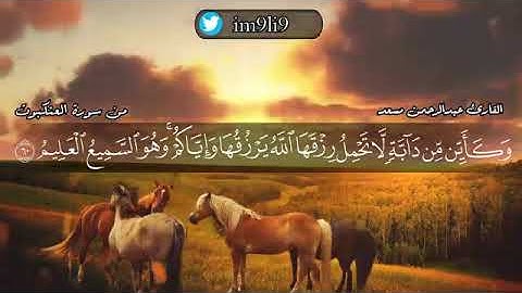 اواخر سورة العنكبوت للقارئ (عبدالرحمن مسعد)