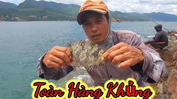 VUONG LT VOLG | câu cá biển | hòn nhàn bãi xếp gặp cá giò khủng