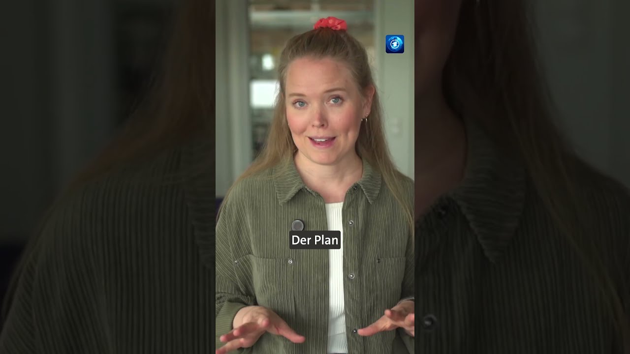 Internes AfD Papier So Will Alice Weidel Ins Kanzleramt Tagesschau Nachrichten Afd