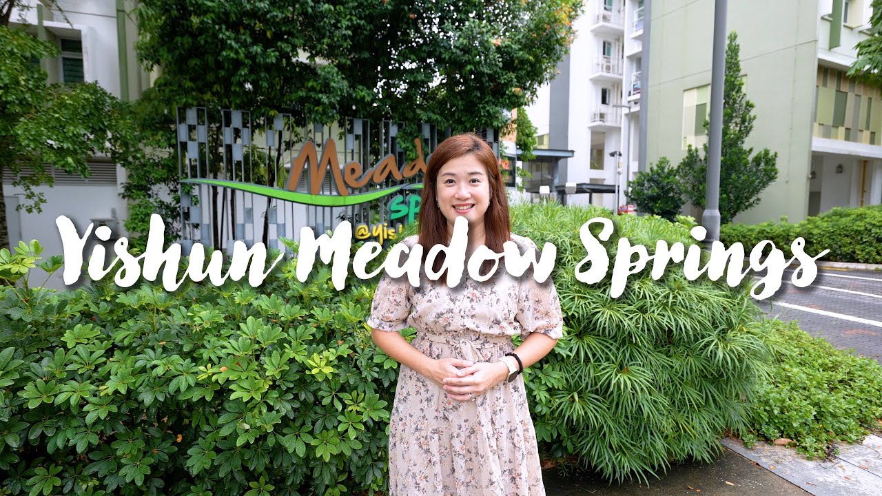 Yishun Spring 469A Yishun Meadow Springs - YouTube