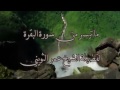 ماتيسر من سورة البقره لفضيلة الشيخ عمر الثويني 