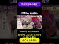 天然記念物の鹿を蹴り、紙を食わせる中国人/Chinese tourists ab*se natural monument deer in Japan #animal #deer #chinese