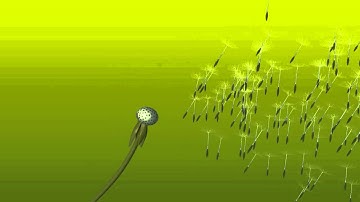 3D Dandelion