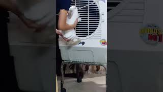 Lallis Cutest Highlights