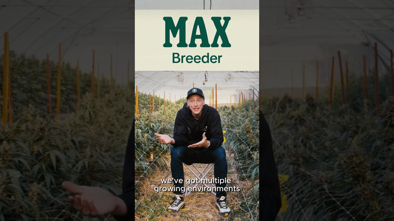 Royal Queen Seeds behind the brand! 🌱