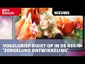 Vogelgriep duikt op in de regio: 'Zorgelijke ontwikkeling' [RTV Utrecht]