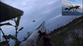 Охота на утку, Открытие осень 2019 (Duck hunting, Opening season 2019) Охота на утку, Открытие осень 2019 (Duck hunting, Opening season 2019)