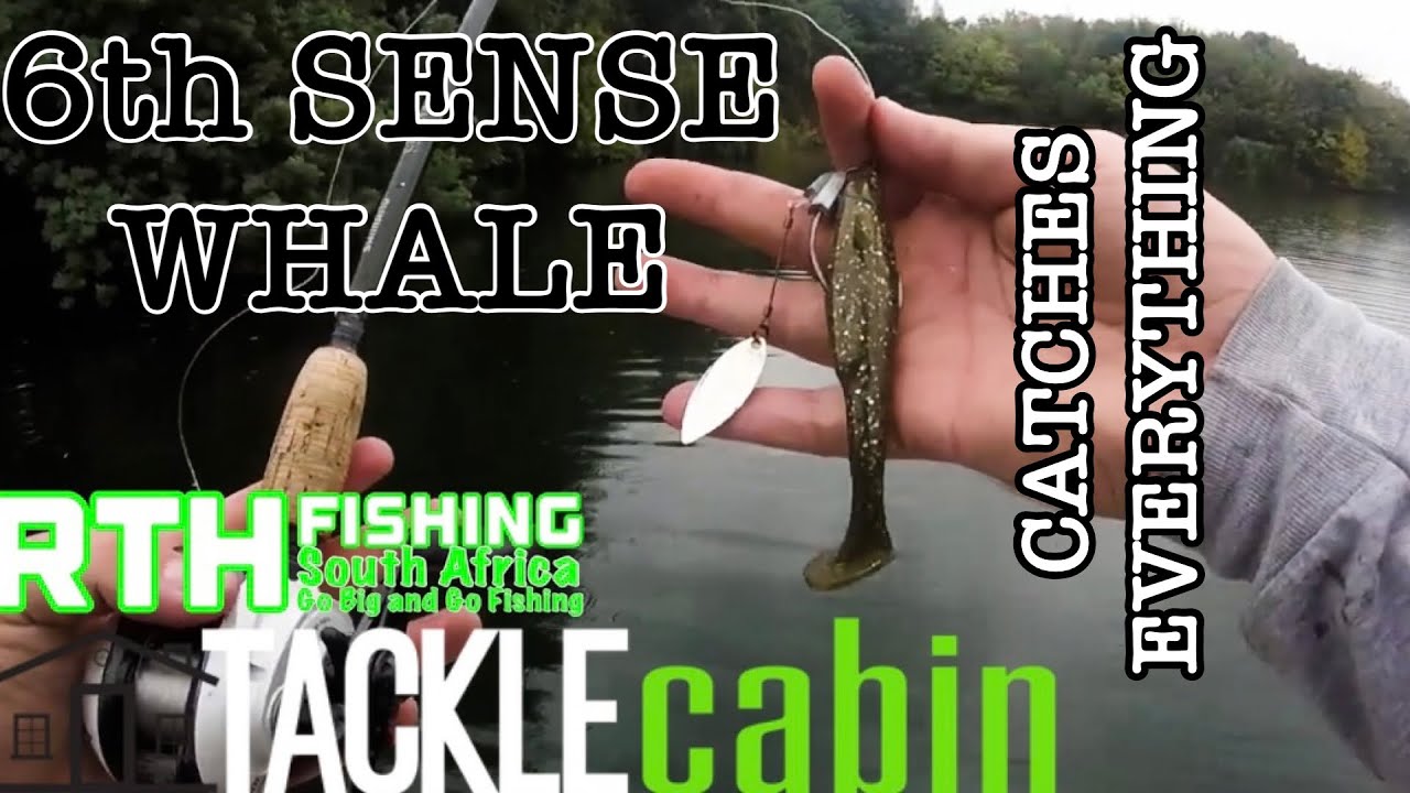 Autumn Transition Bass Fishing Johannesburg