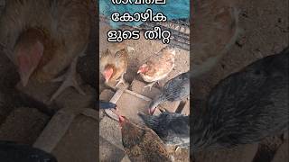 ഇത രവല മതൽ വകനനര വര തനനള