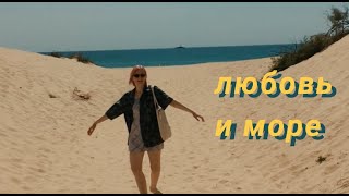 отдых на море, смешные животные и уютные кафе