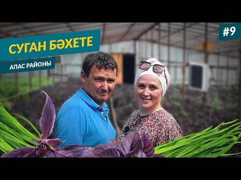 Видео: Пахлеве: Татар маягийн амттан