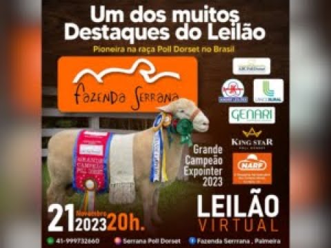 Leilão Fazenda Descanso e Convidados 