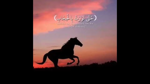 القران الكريم|"نعم العبد إنه أواب"
