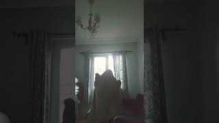 Alt Komşu Bir Gün Bize Şikayete Gelecek Ama