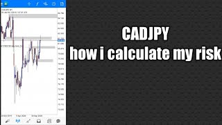 Forex Calculators app free- How to calculate margin, pips, with a real trading example. screenshot 5