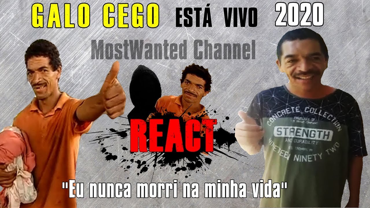 Galo Cego 2020 Daniel Orivaldo da Silva React - YouTube