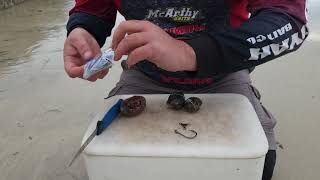 ARMADILLO BAIT Update
