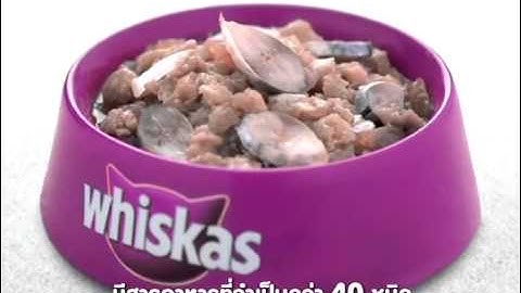 Whiskas® ดูแลอย่างรู้ใจเหมียว