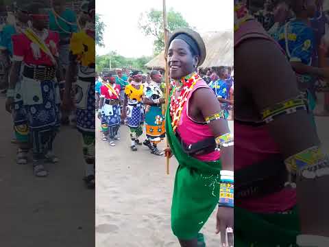 MAKOJA MPIGIJA MPYA 2026 