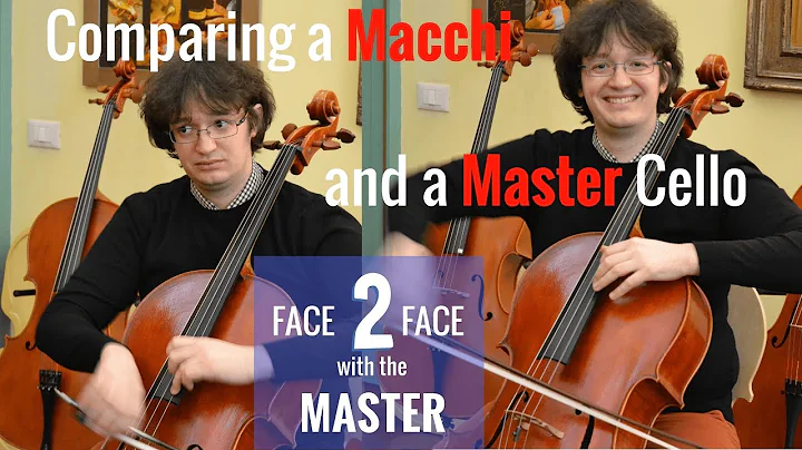 Face to Face with the Master - Comparing a Macchi ...