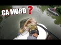 Des MONSTRES juste sous nos pieds ! -- Pêche du silure en float tube