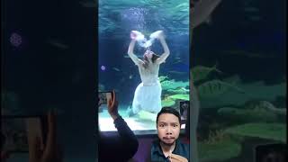 Putri Duyung Cantik Di Dunia Nyata