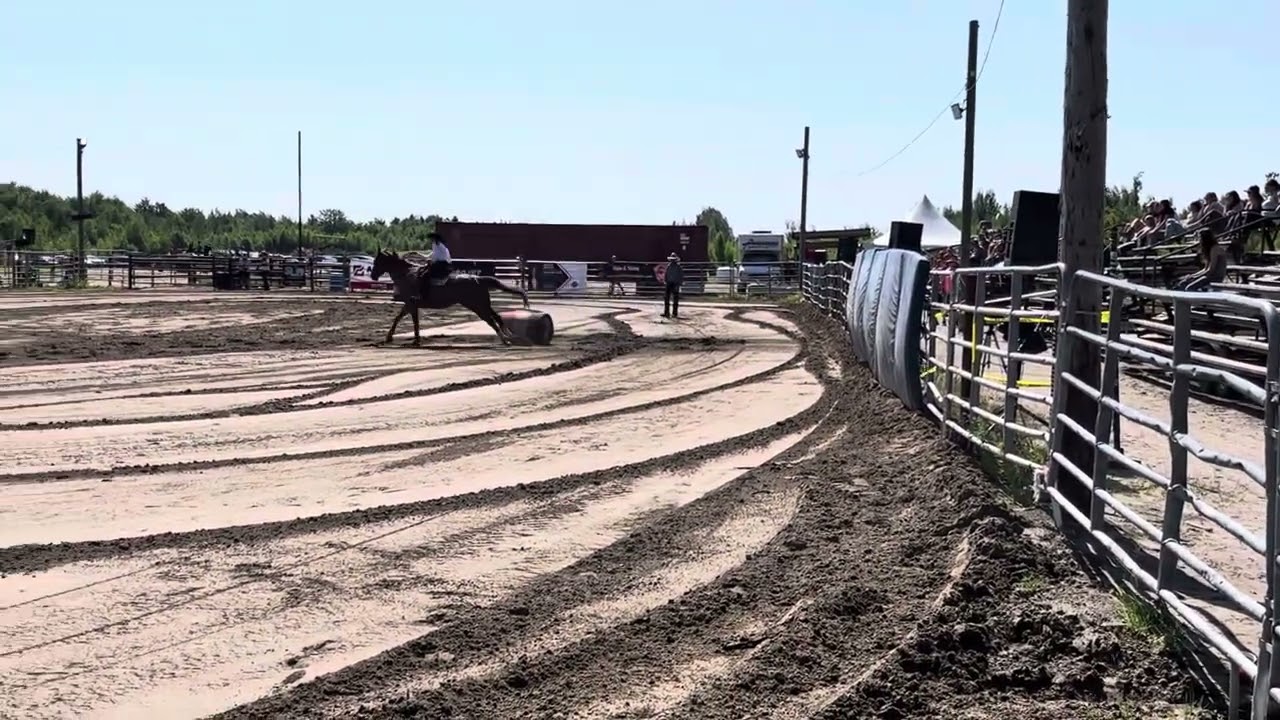 Why not me too   aurait fini top 3 BF Arewl