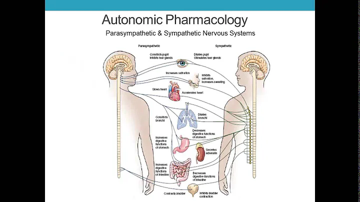 Pharmacology Lecture for Paramedics